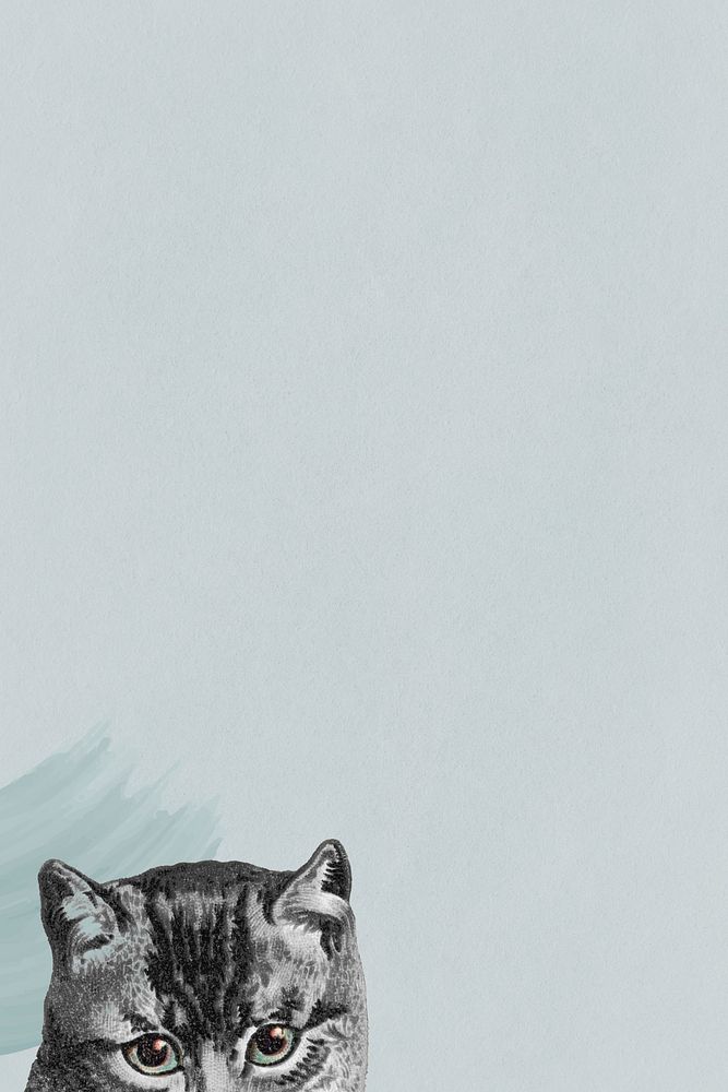 Gray cat on blue background illustration