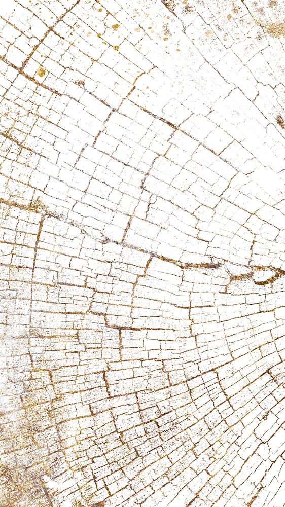 Bleached tree rings textured mobile phone wallpaper