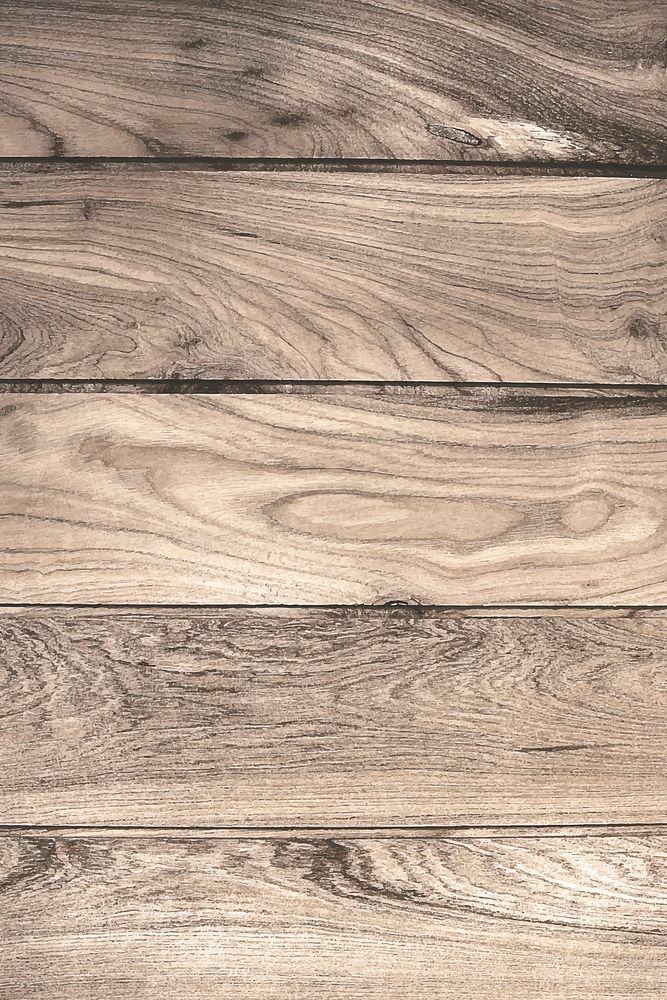 Oak wood textured design background vector