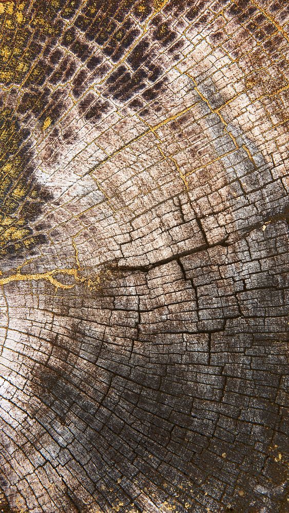 Walnut wood textured mobile wallpaper