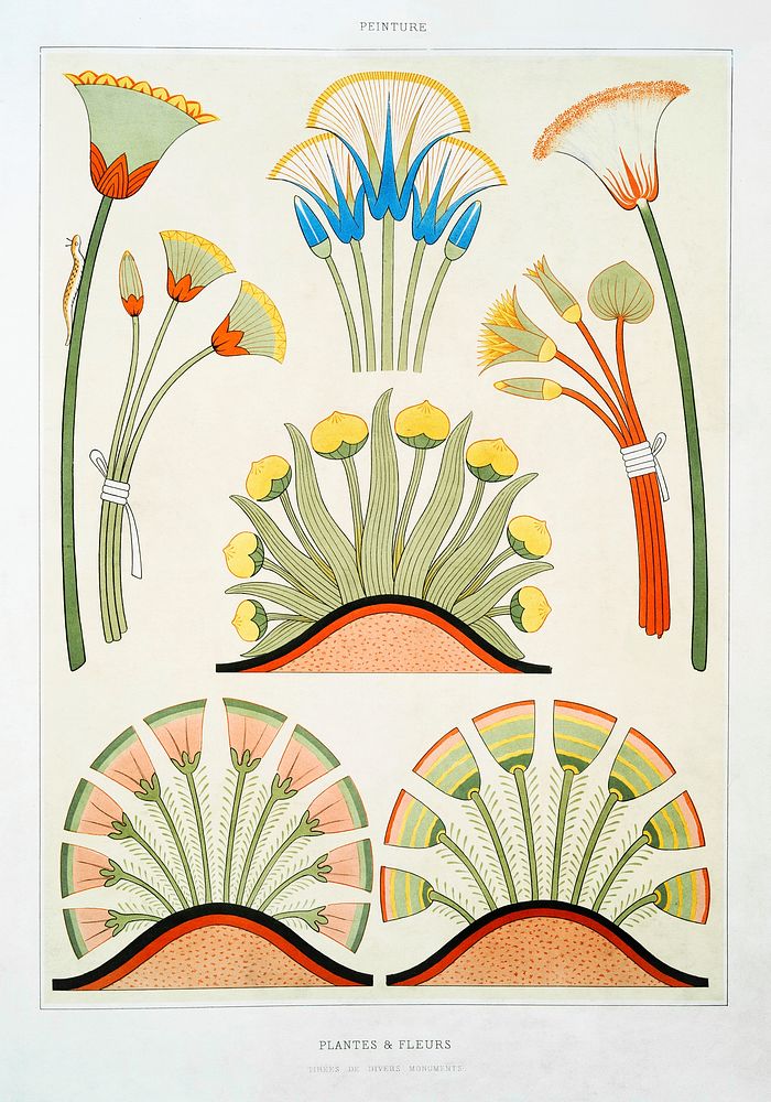 Egyptian plants and flowers vintage wall art print poster design remix from original artwork.