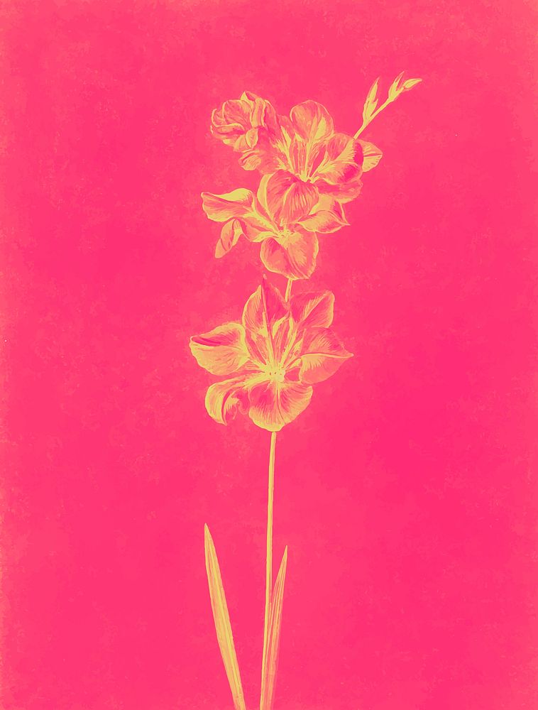 Lily vintage illustration vector, remix from original artwork.