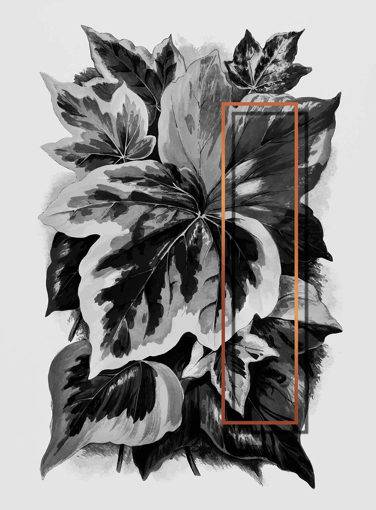 Rectangle frame on various Ivy leaves vintage illustration vector, remix from original artwork.