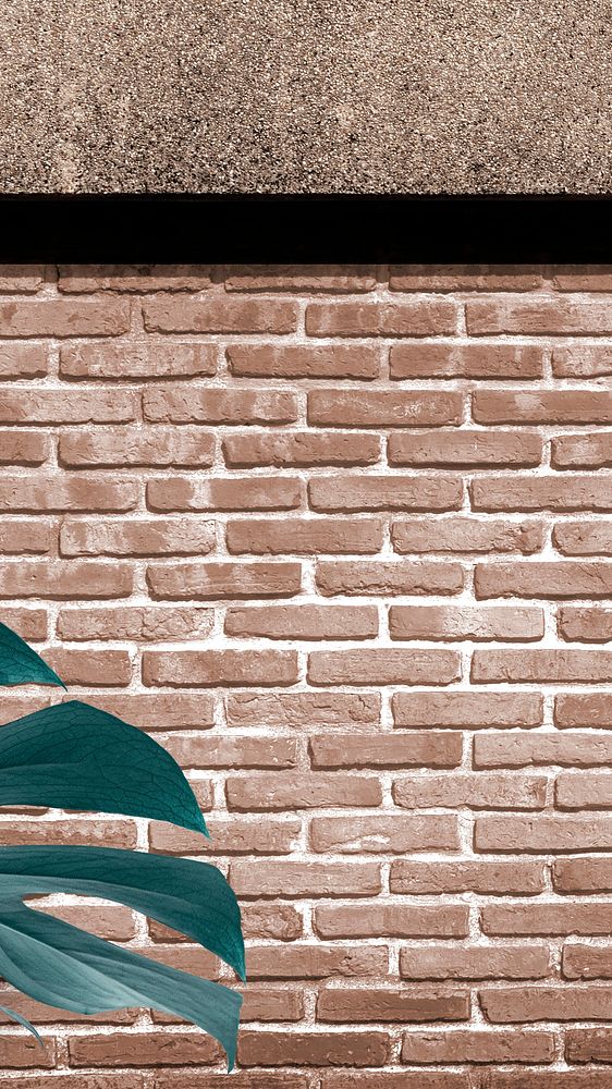 Green monstera leaf against a brick background 
