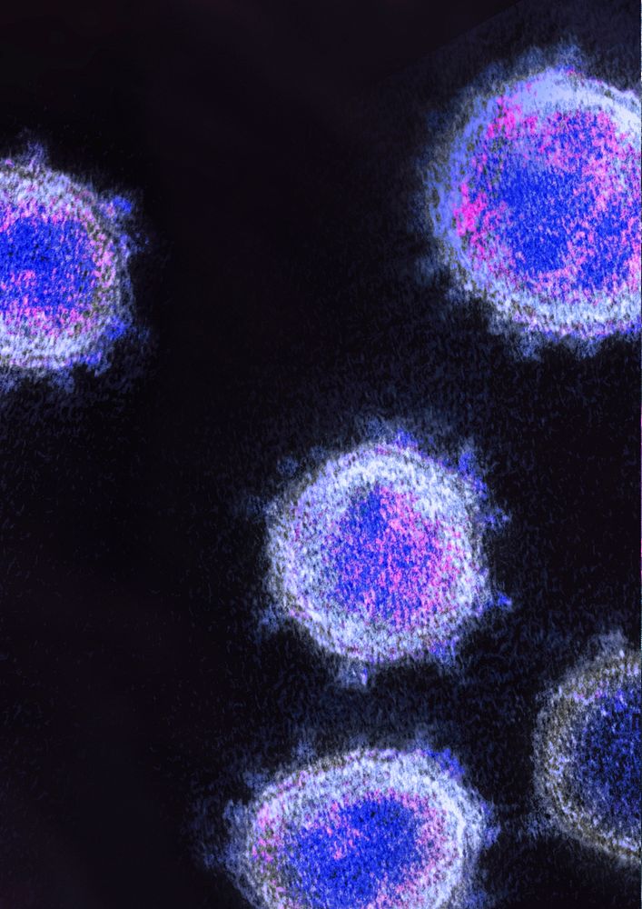Coronavirus under a microscope on a black background illustration