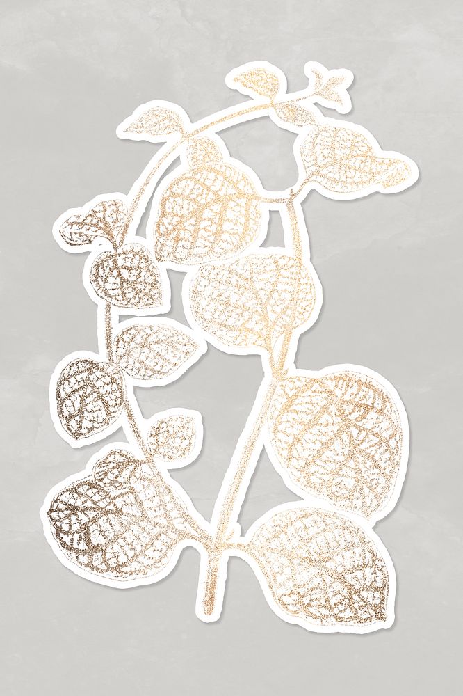 Golden Japanese honeysuckle leaves sticker design resource