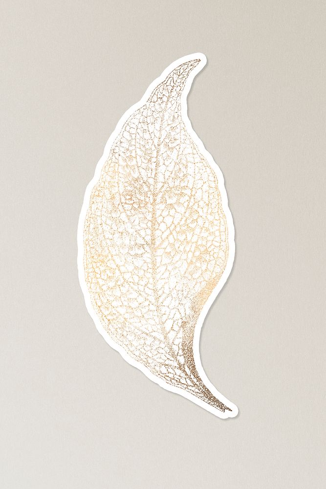 Golden fittonia leaf sticker design resource