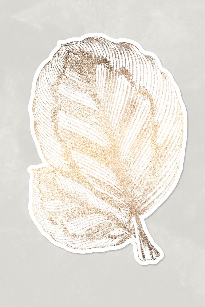 Rose painted calathea leaves sticker design resource