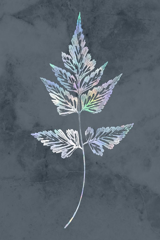 Holographic sickle spleenwort plant on a gray background 