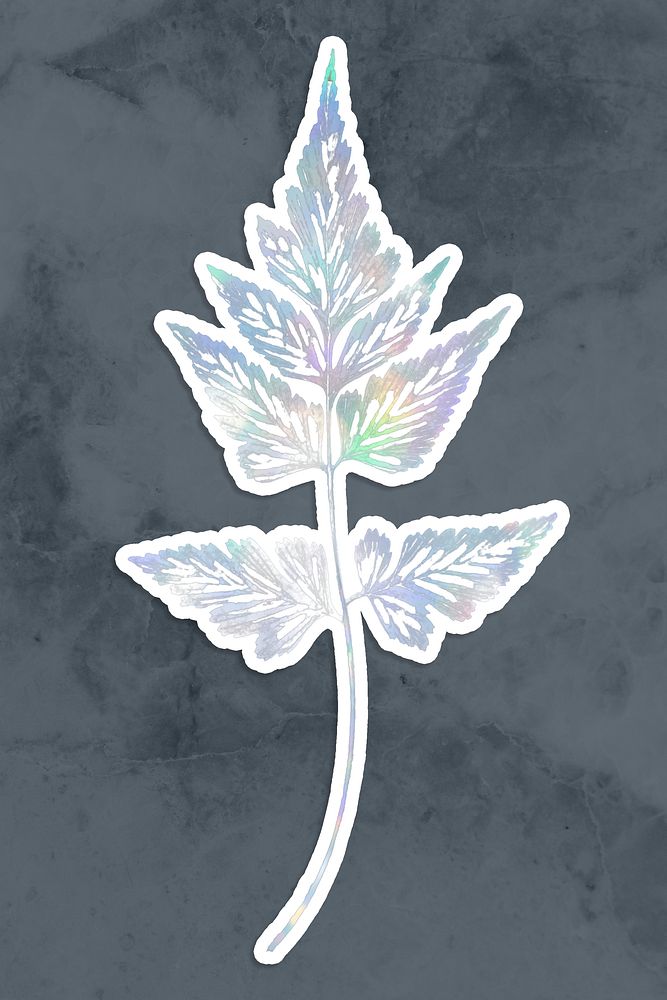 Holographic sickle spleenwort plant sticker on a gray background