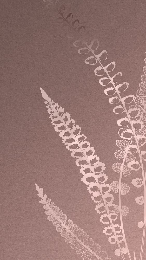 Spleenwort fern frame on a rose gold background mobile wallpaper