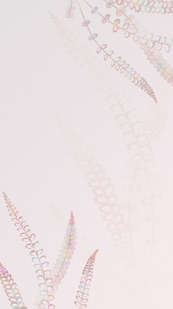 Spleenwort fern frame on a pink background mobile wallpaper