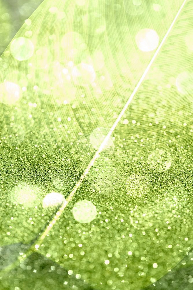 Glittery Calathea Lutea leaf background