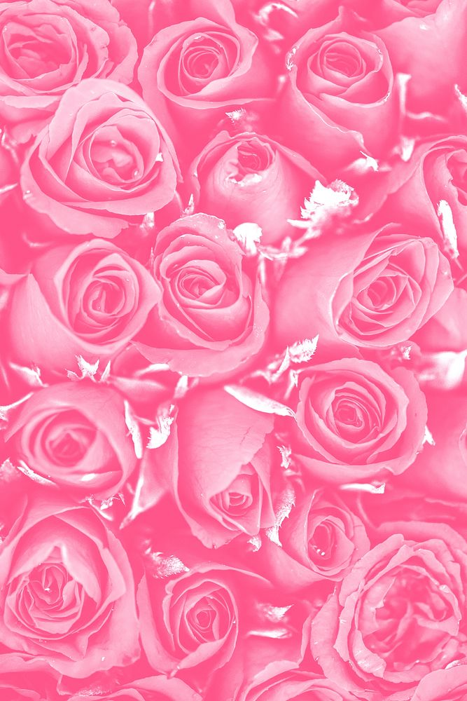 Watermelon pink rose patterned background