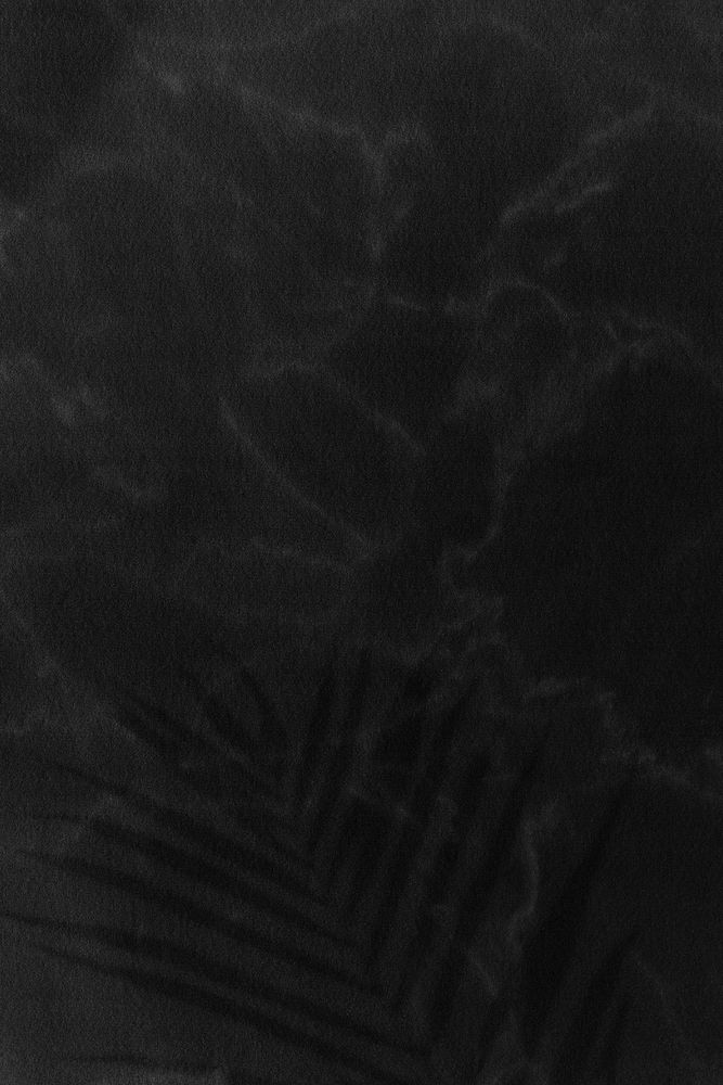 Black palm leaf shadow background