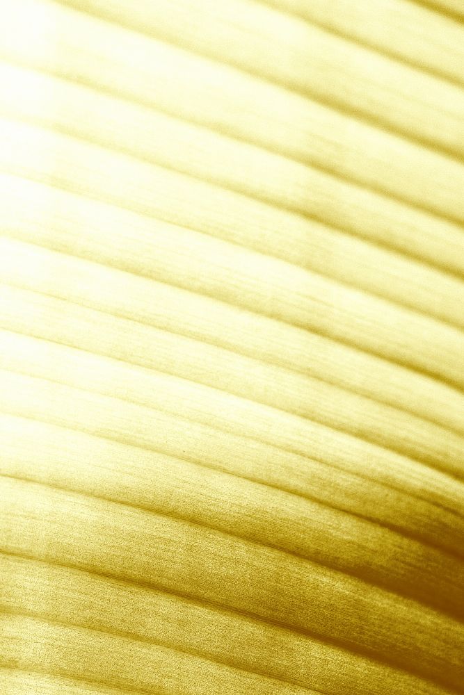 Banana leaf patterned background