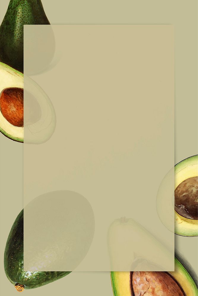 Hand drawn avocado frame with copy space vector