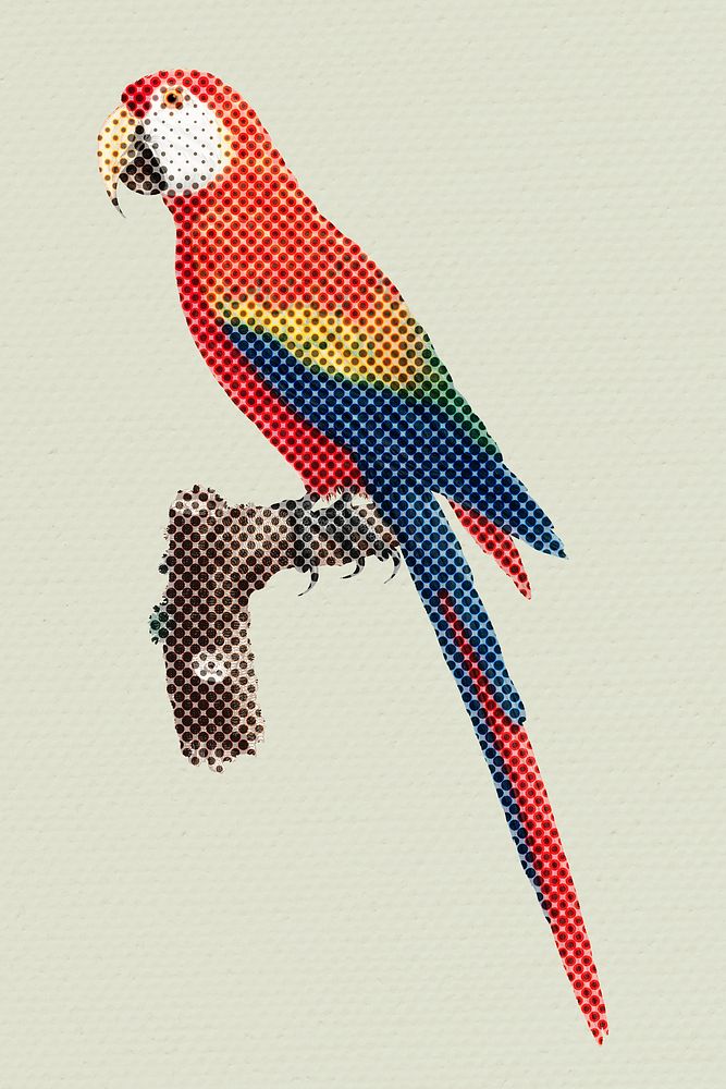 Halftone scarlet macaw bird sticker design element