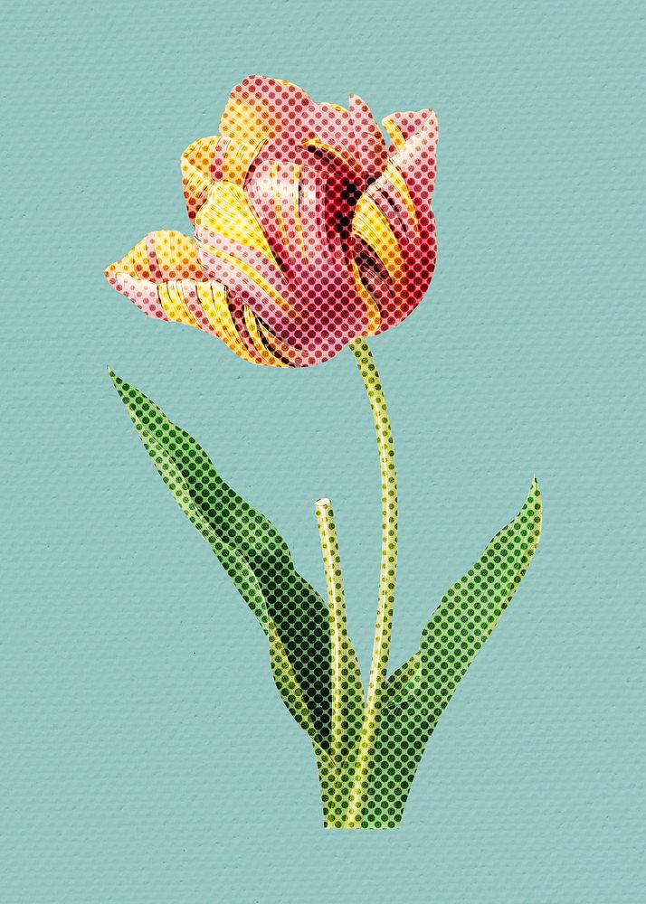Hand drawn tulip flower halftone style illustration