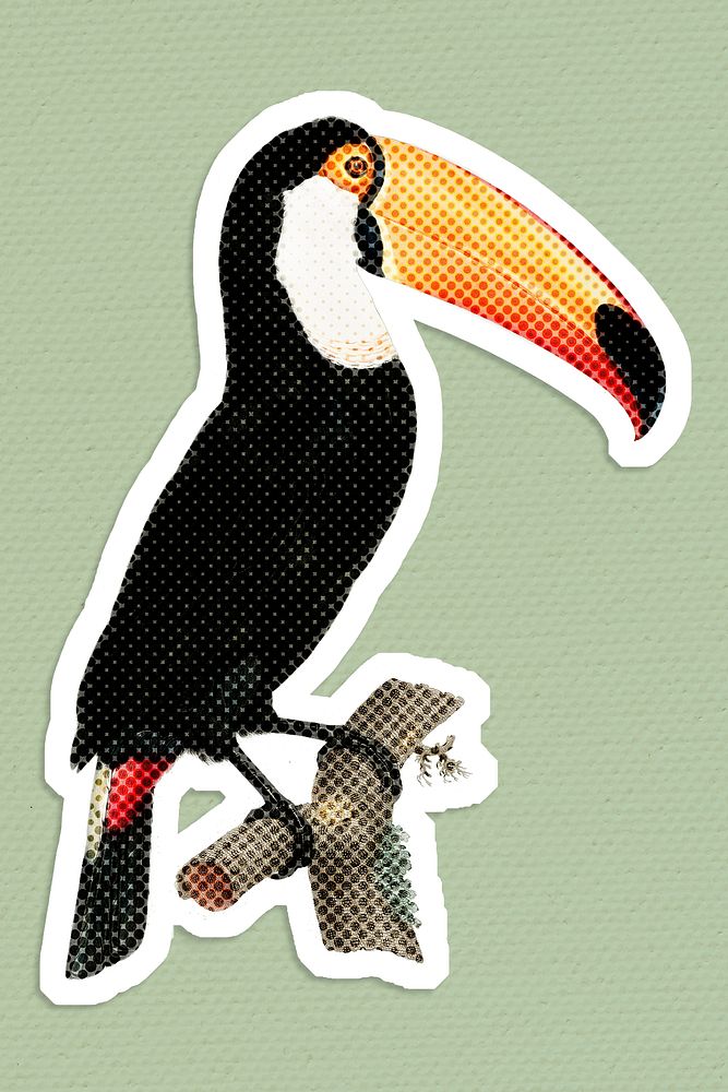 Hand drawn toucan bird halftone style sticker with a white border illustration