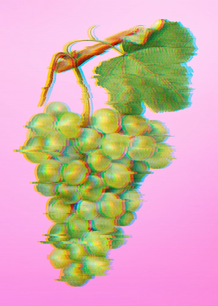 Green grapes with glitch effect design element