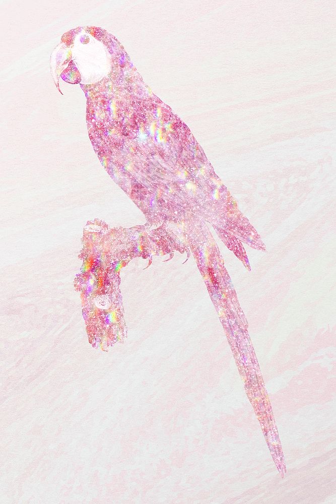 Pink holographic macaw design element