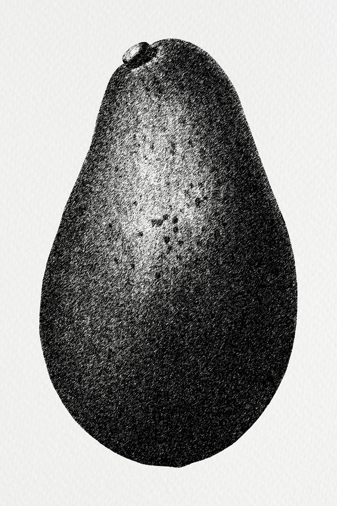 Hand drawn monotone avocado fruit design element