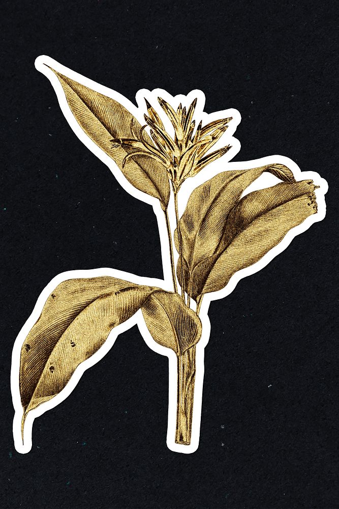 Gold lobster claws flower sticker with a white border