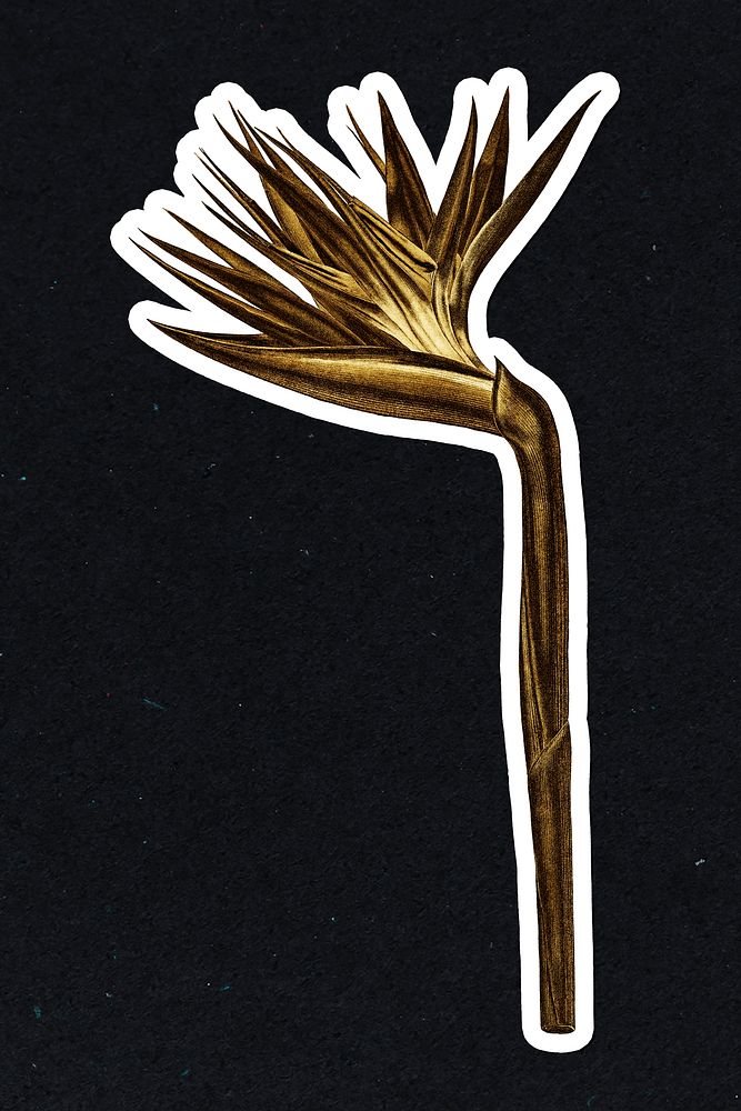 Gold bird of paradise flower sticker with a white border