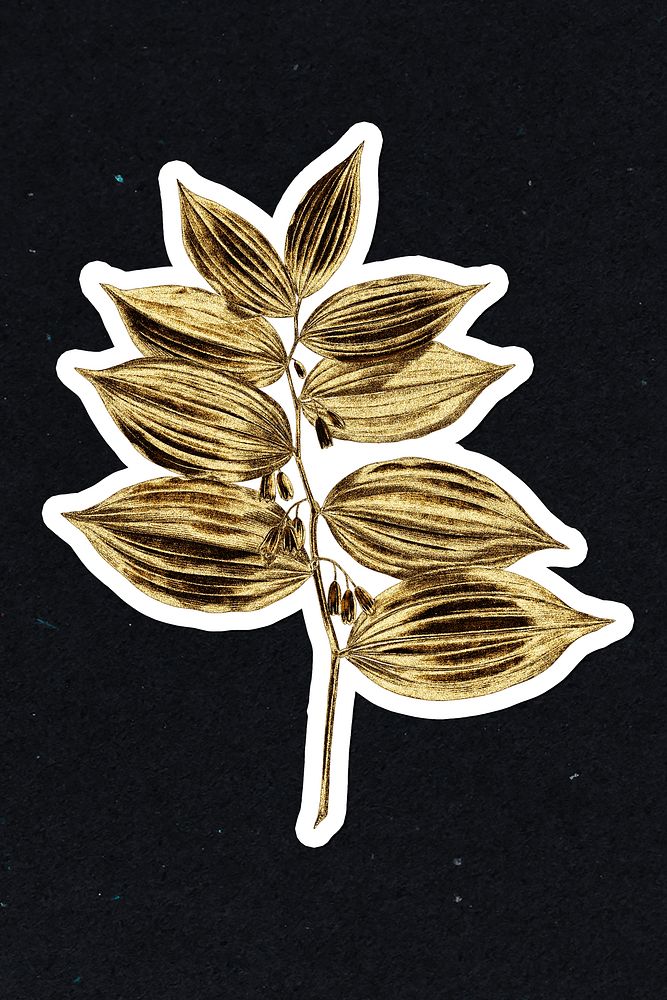 Gold king solomon's seal sticker with a white border