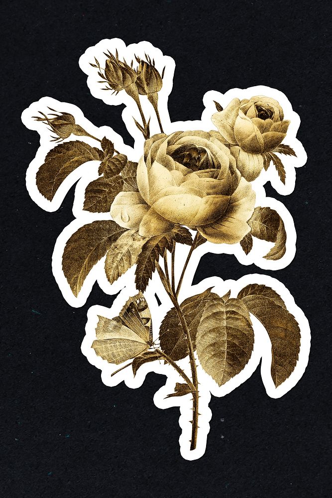 Gold rose flower sticker with a white border