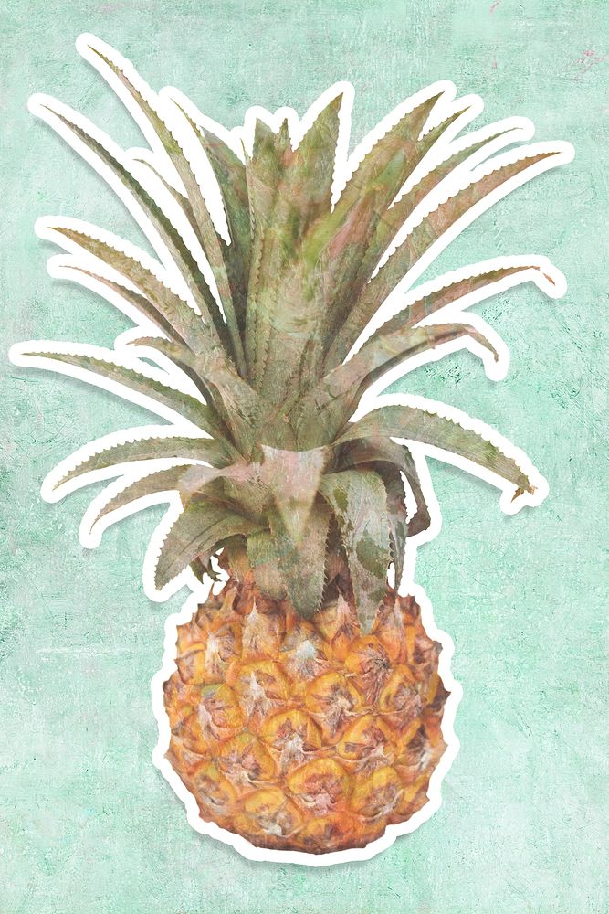 Yellow pineapple sticker design element illustration