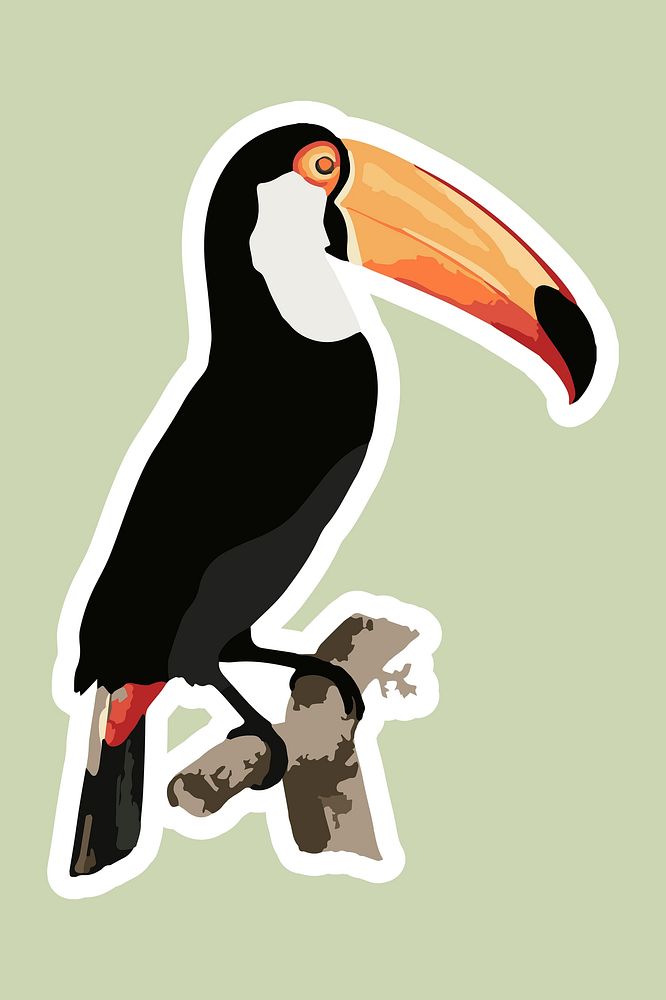 Vectorized toucan bird sticker overlay design element 