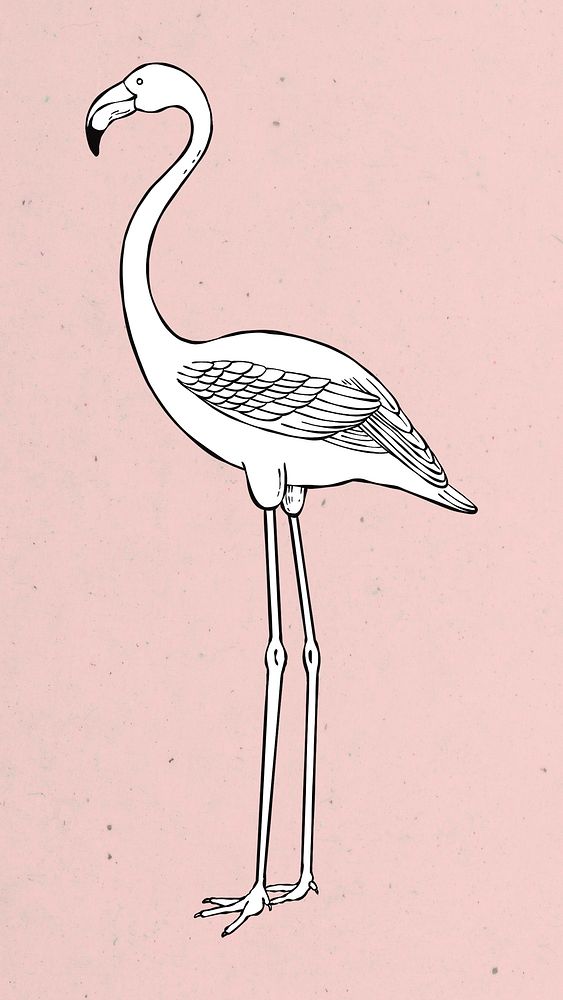 Psd cute hand drawn flamingo