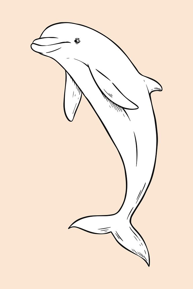 Vintage hand drawn dolphin cartoon black and white illustration
