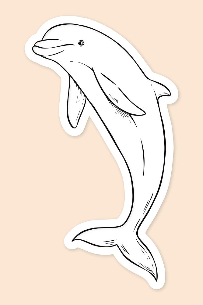 Vector dolphin vintage black and white clipart