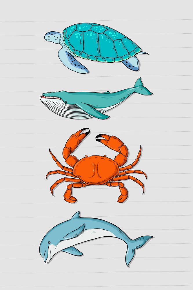 Sea animal sticker colorful collection clipart