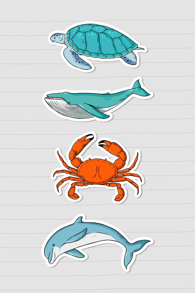 Marine animal sticker colorful collection clipart