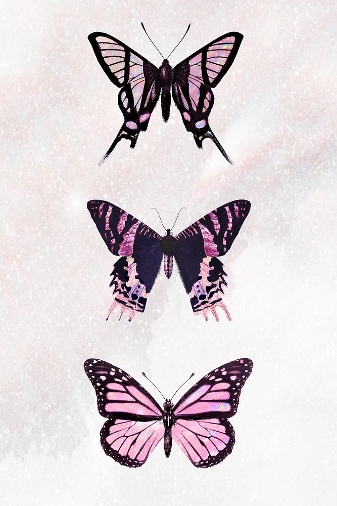 Pink holographic and glittery butterfly design element set