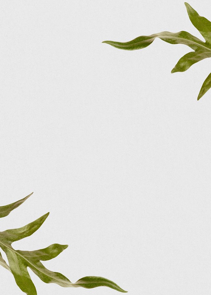 Arrowhead fern leaf text space gray background