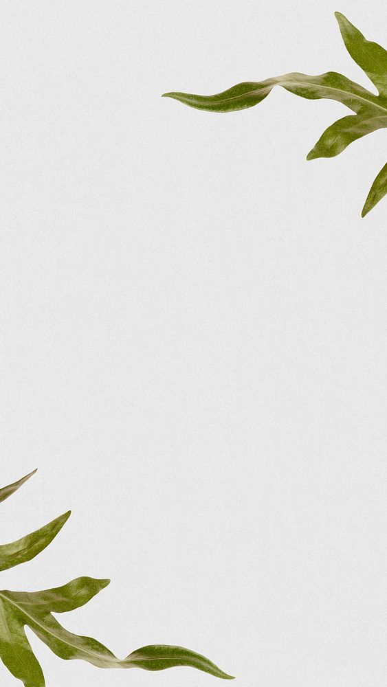 Arrowhead fern leaf text space gray background