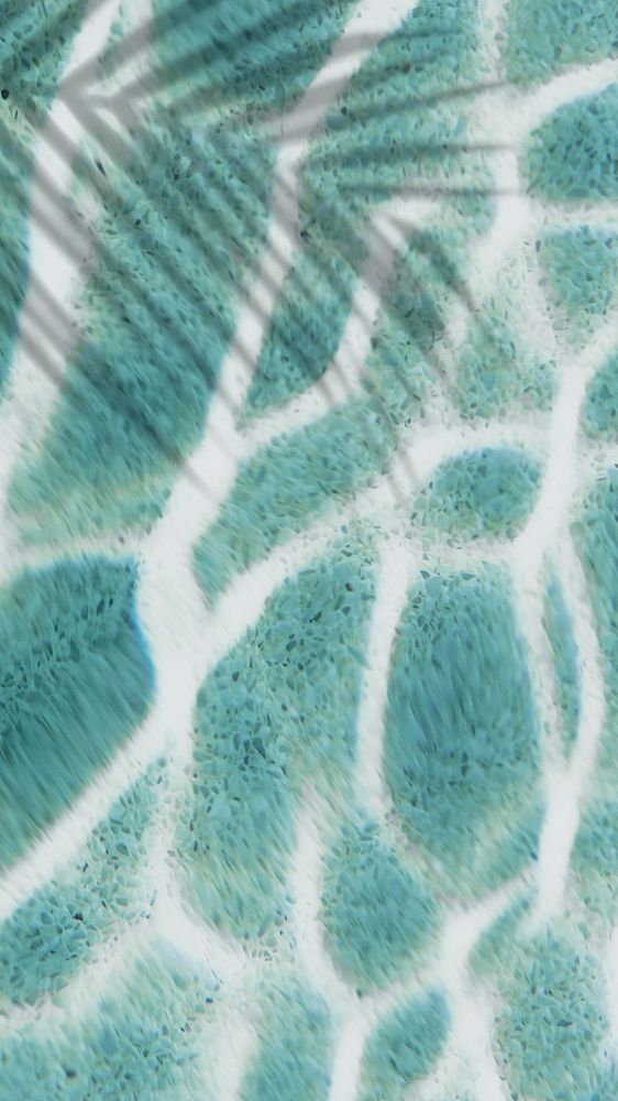 Palm leaf shadow on a turquoise terrazzo pool background