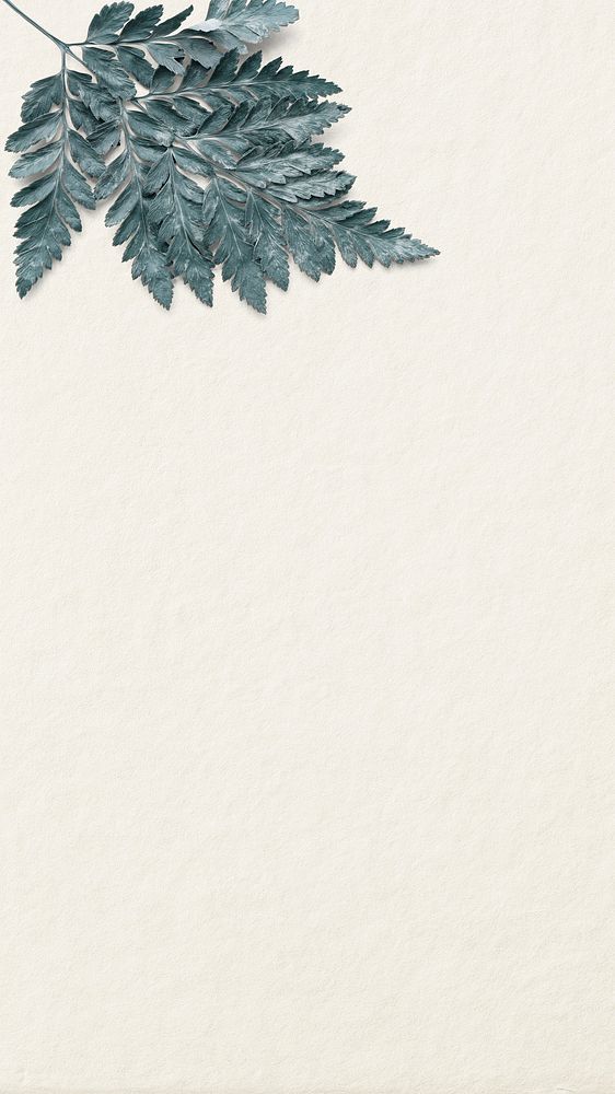 Leaf blank beige background psd