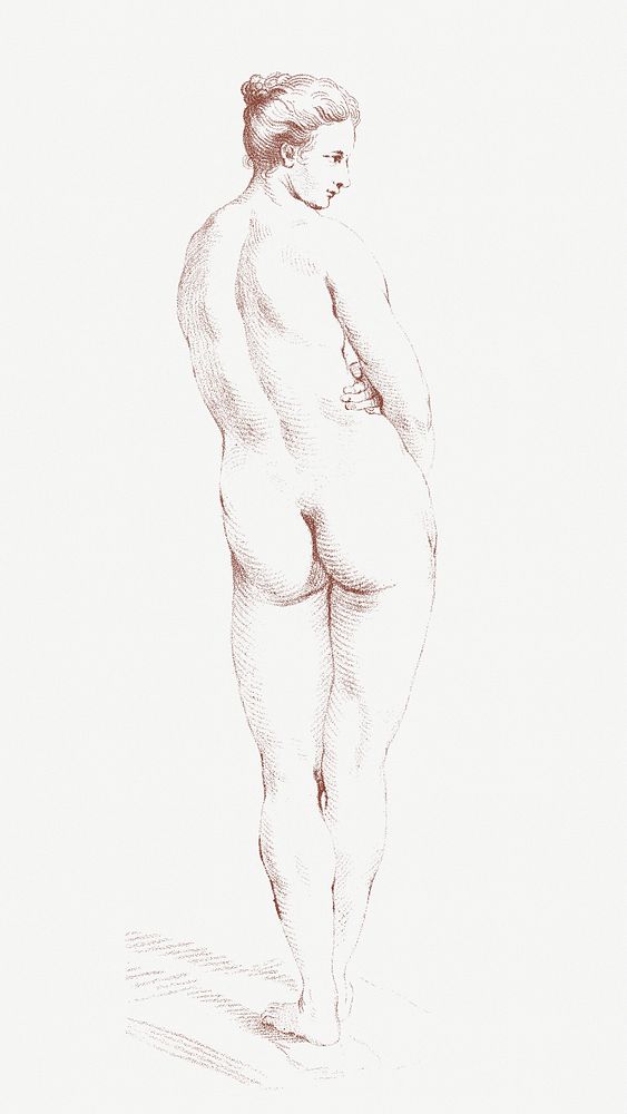 Back view nude woman vintage illustration