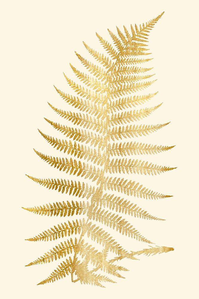 Hand drawn vector fern leaf gold metallic vintage sticker