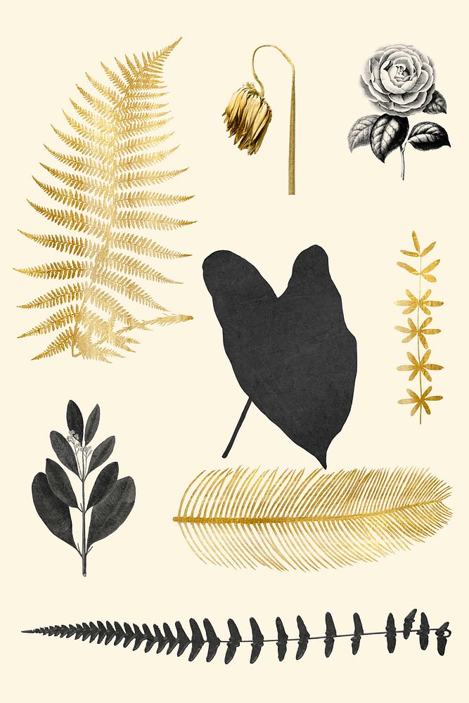 Vintage vector leaf flower botanical gold black sticker set