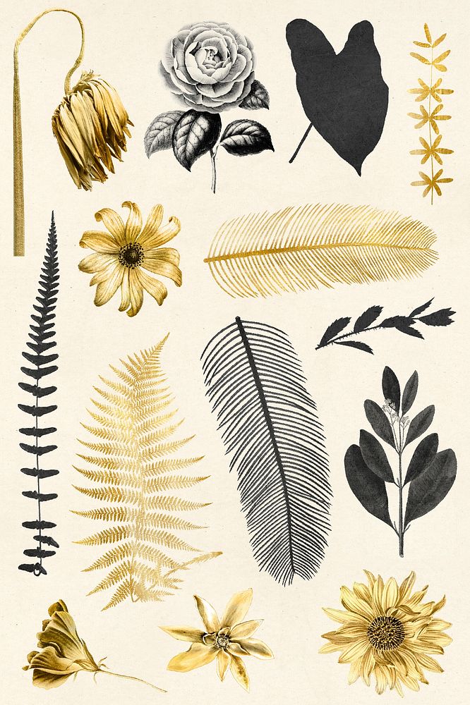 Vintage leaf and flowers gold psd botanical sticker collection