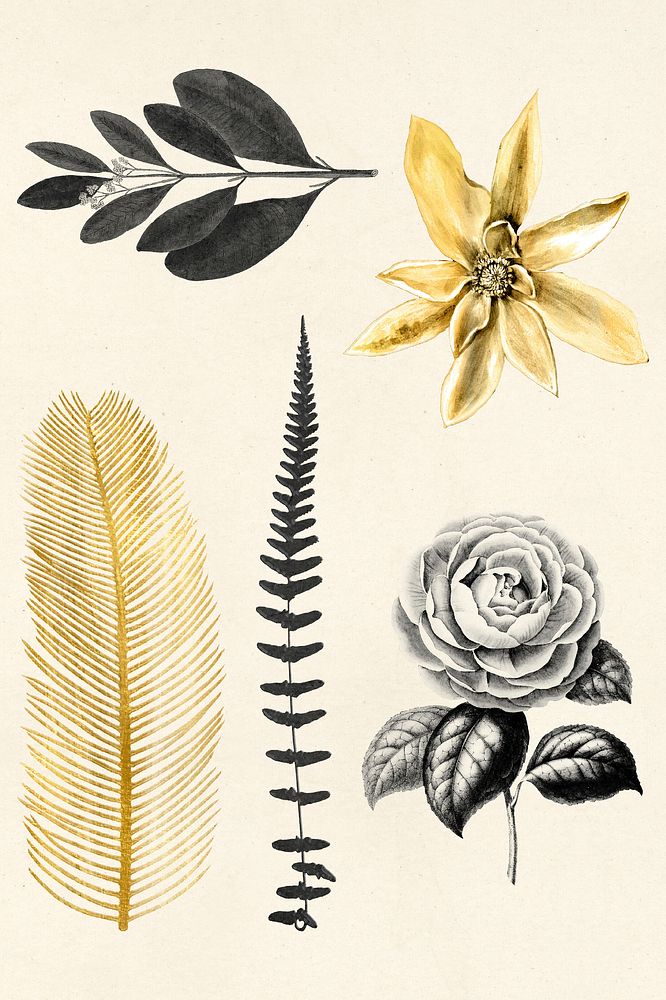 Black and gold psd flowers leaf sticker pack