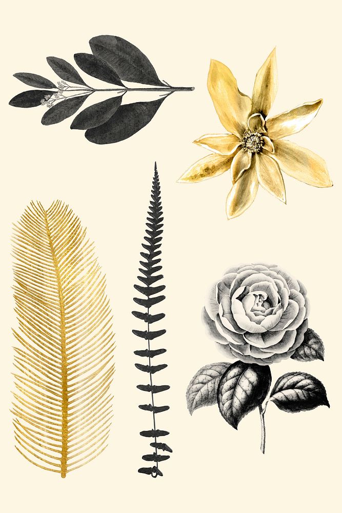 Black and gold vector flowers leaf sticker pack
