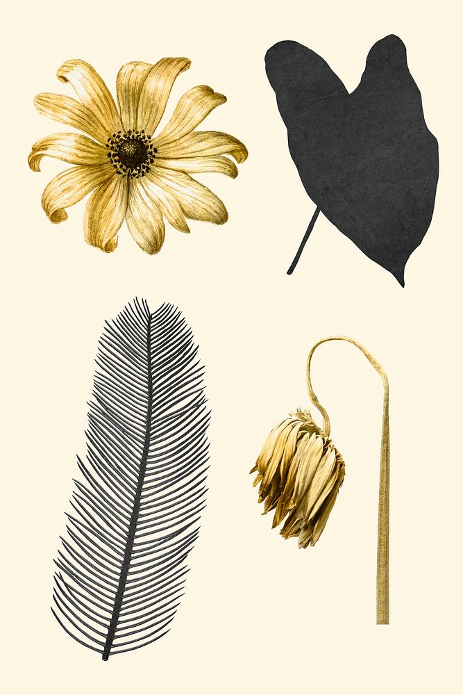 Vector golden black leaf flowers metallic vintage sticker set